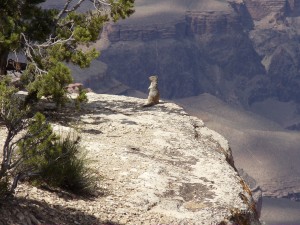 2010 DenHes Vacation 063
