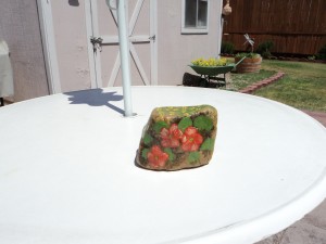 DSC00153
