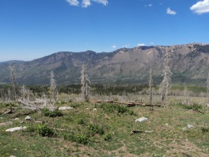 2013 fishing trip 035