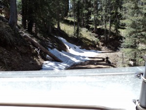 2013 fishing trip 041