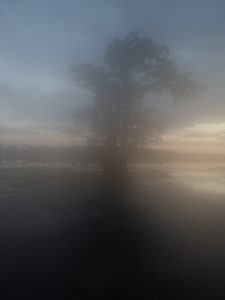 caddo-lake-fishing-trip-2016-110